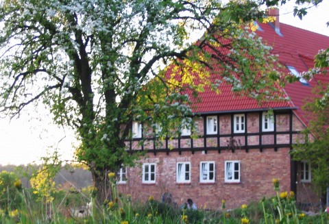 Ferienwohnung - Feldberger Seenlandschaft - Landhaus Schönhof