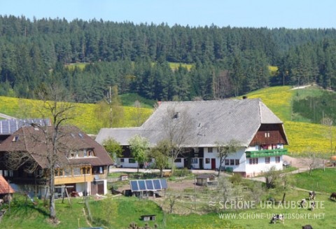 Ferienwohnung - Schwarzwald - Mooshof  Bio-Ferienbauernhof im Schwarzwald